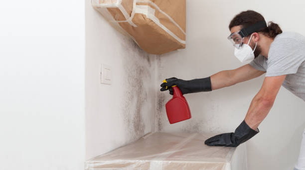 Professional Attic Mold Removal technician working in Bedford, TX