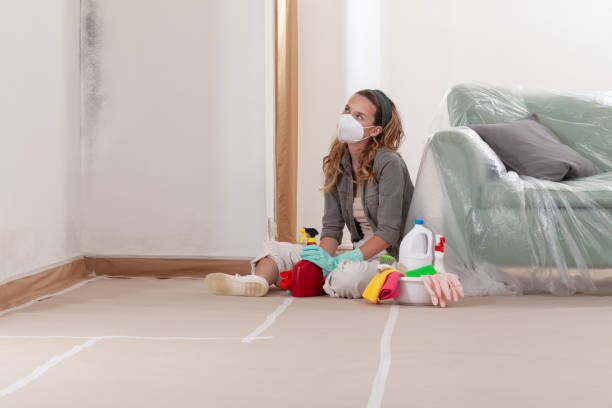 Reliable Attic Mold Removal contractor in Bedford, TX by WQB Mold Removal