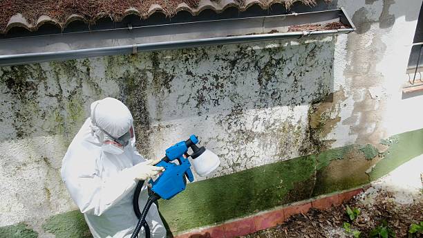 Top rated local Attic Mold Removal specialists in Bedford, TX